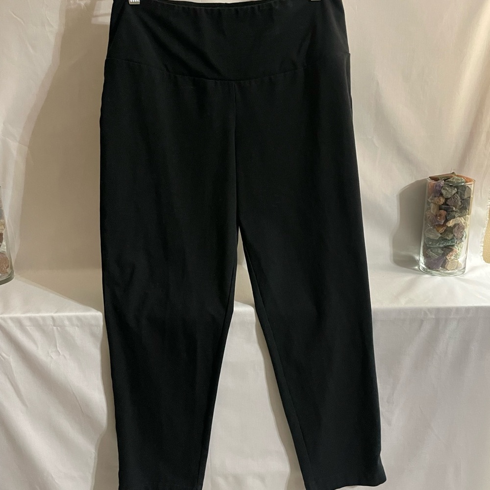 Women with control by Renee Greenstein black leggings size MP